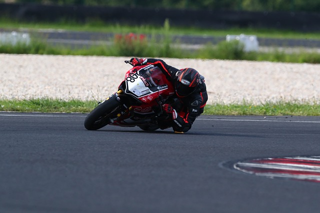 体育与金融 体育与金融